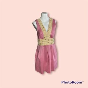 Lauren Moffat wool silk blend velvet beaded v neck fit flare 6 pink cream